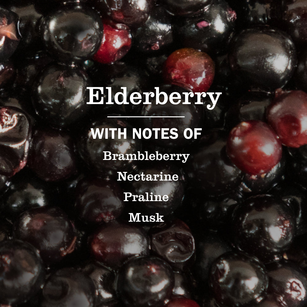 Elderberry Plug In Scented Oil Refill, 2-Pack