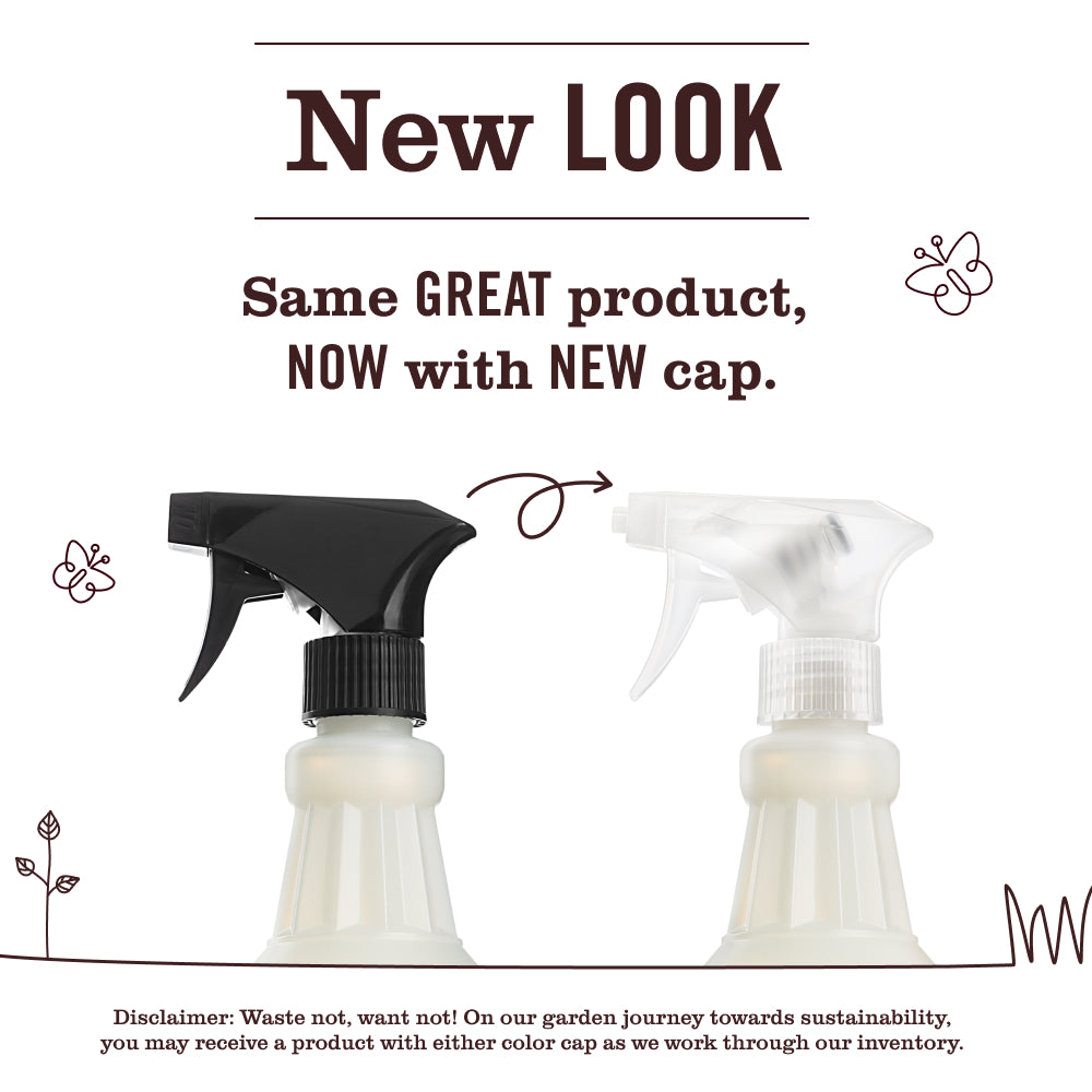 Mint Multi-Surface Everyday Cleaner