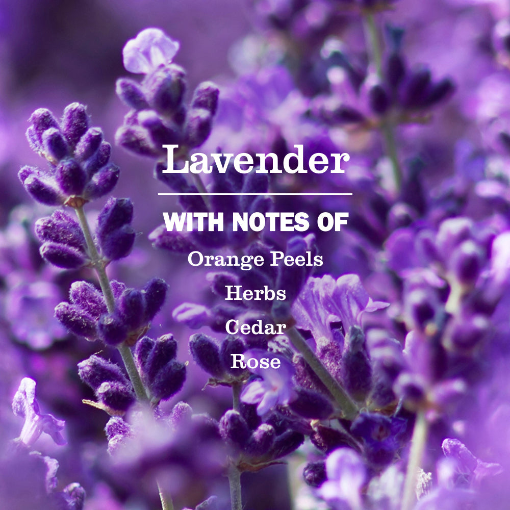 Lavender Foaming Hand Soap