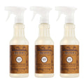 Acorn Spice Multi-Surface Everyday Cleaner 3-count Bundle